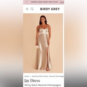 Birdy Grey Jay Shiny Satin Dress - Neutral Champagne